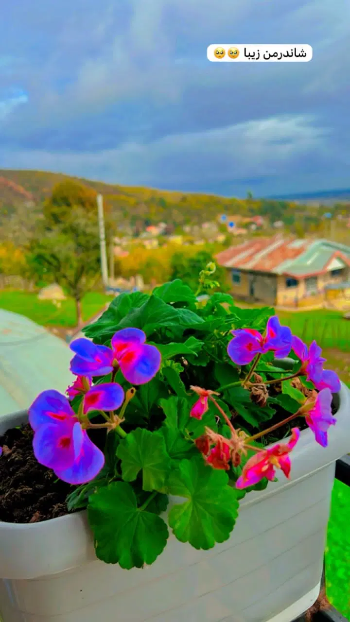 تصویر املاک 86352
