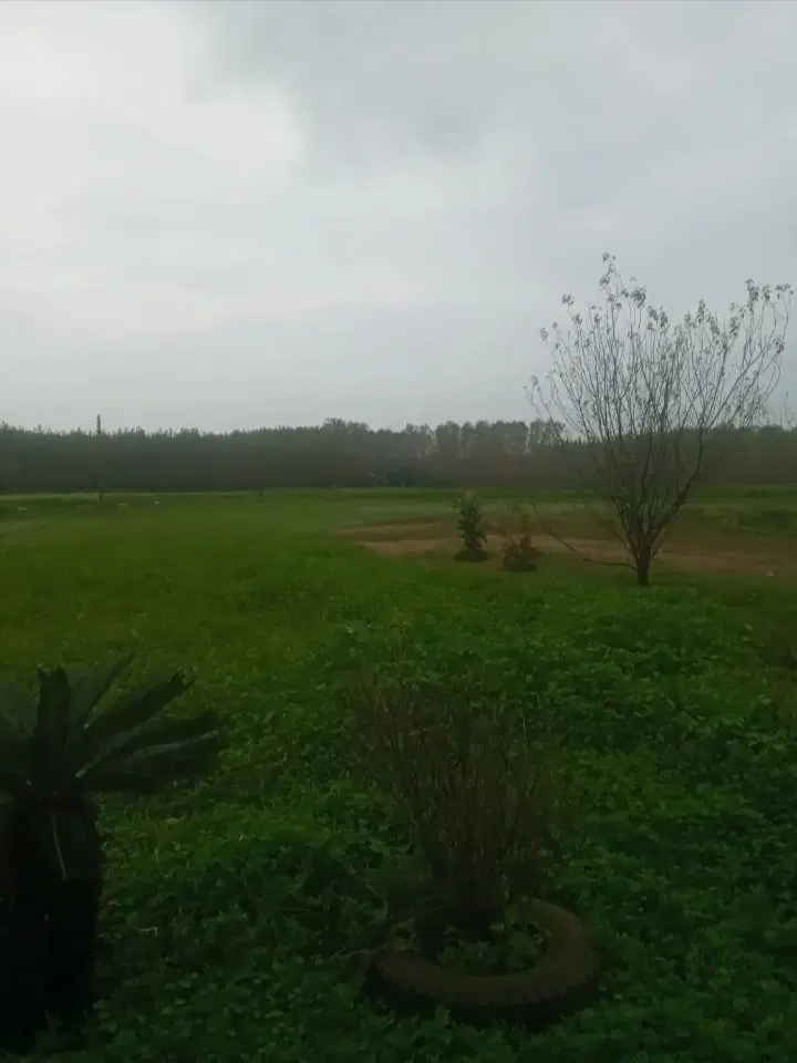 تصویر املاک 100085