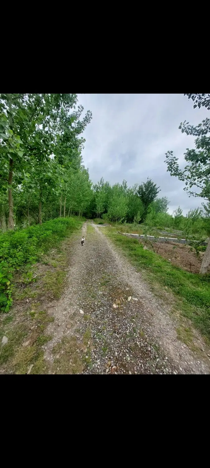 تصویر املاک 131541
