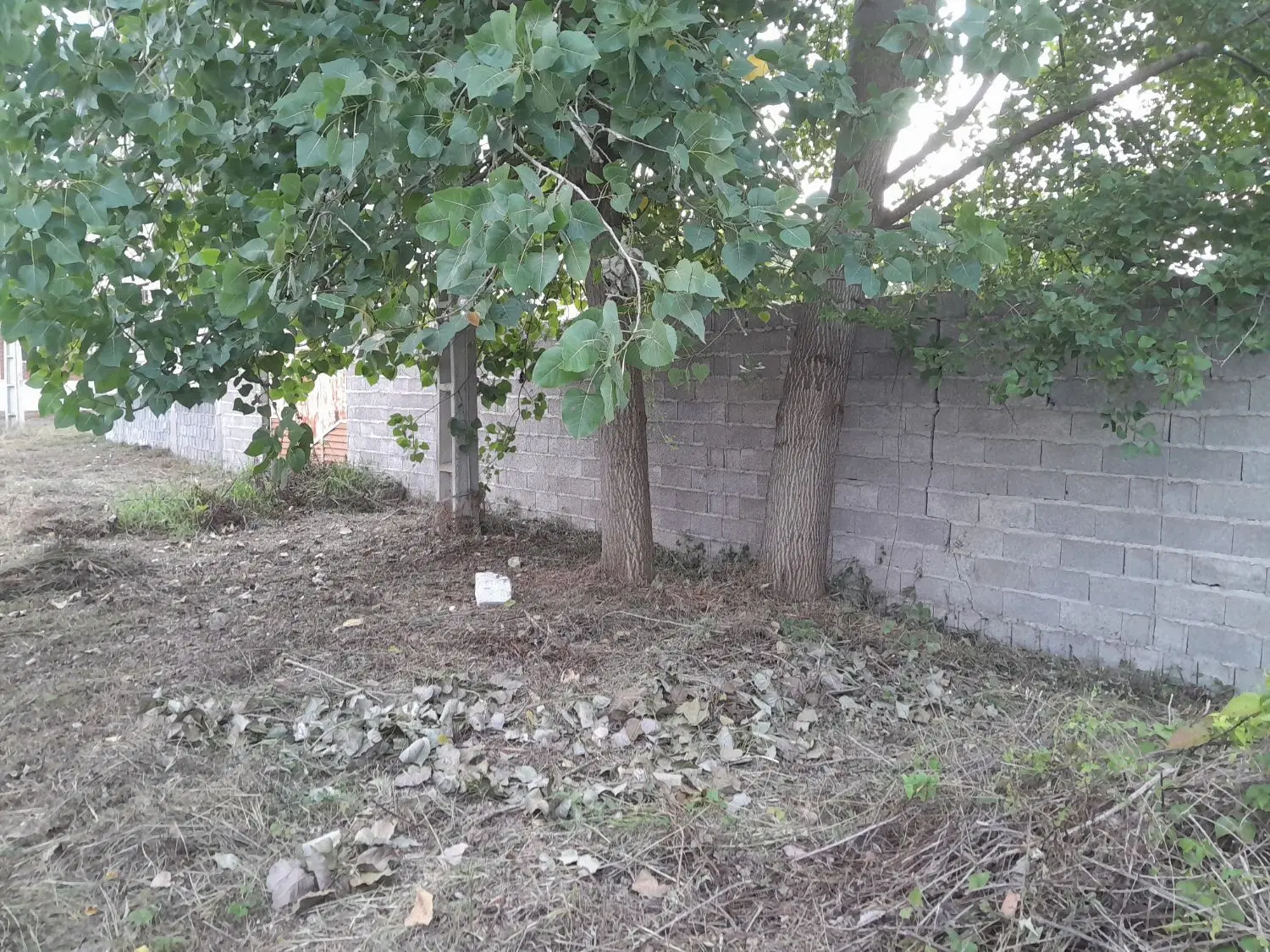 تصویر املاک 76598
