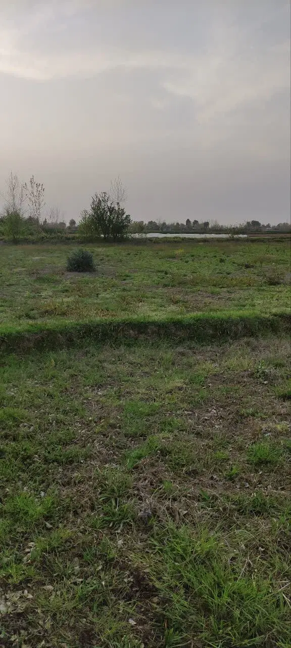 تصویر املاک 112526