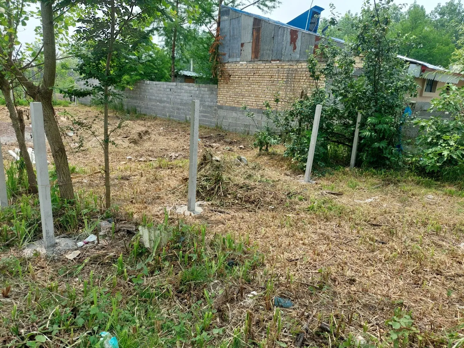 تصویر املاک 53448