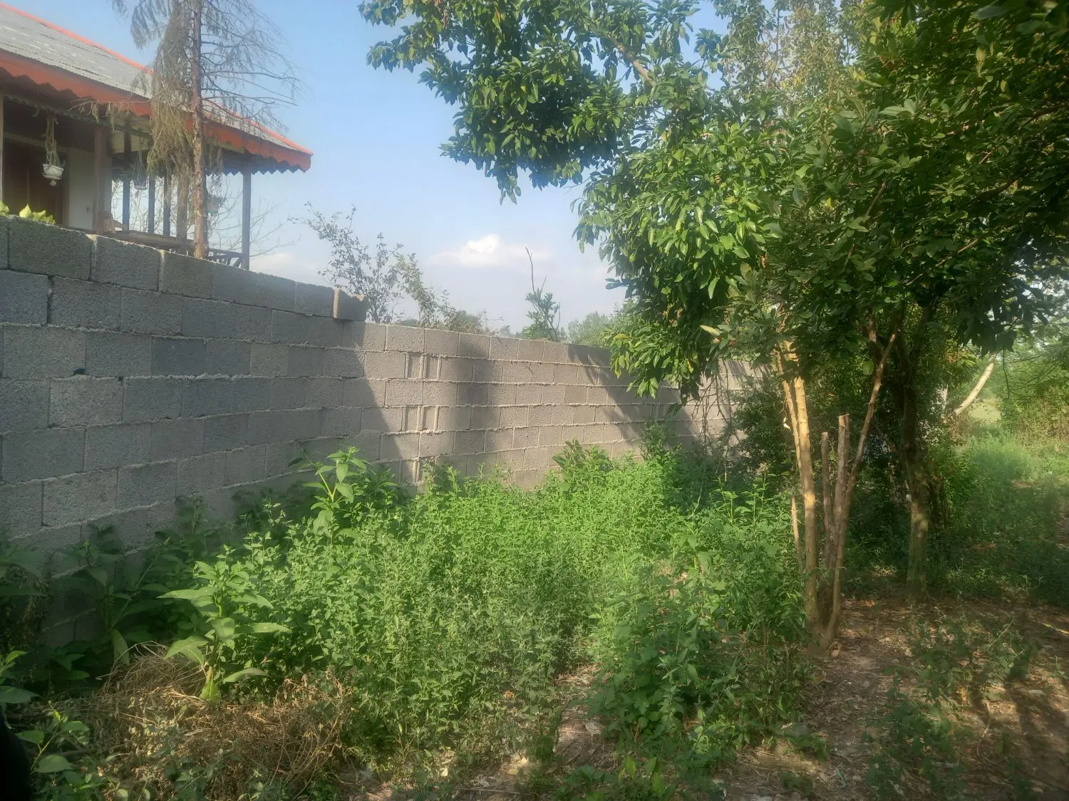 تصویر املاک 92401