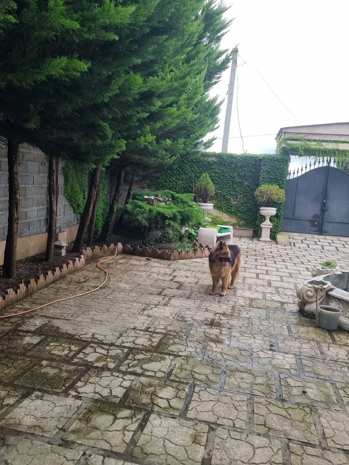 تصویر املاک 117570