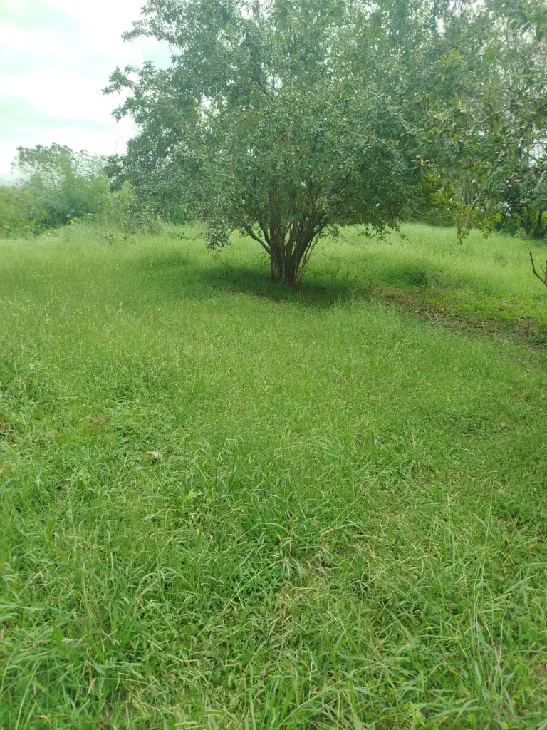 تصویر املاک 140068