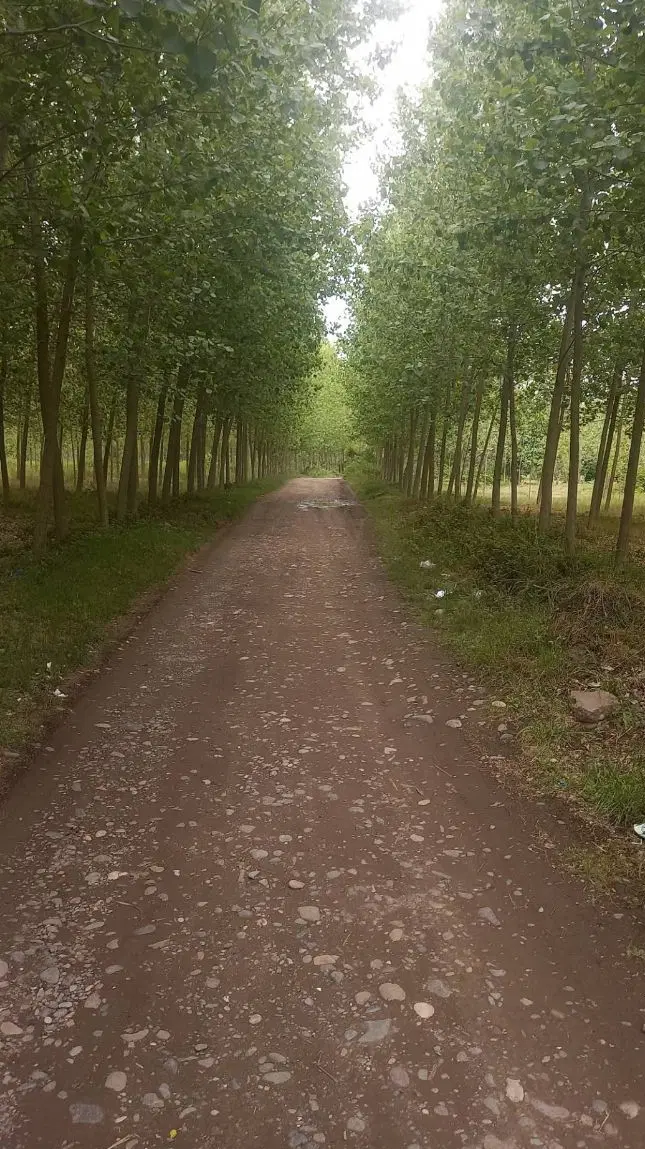 تصویر املاک 65711
