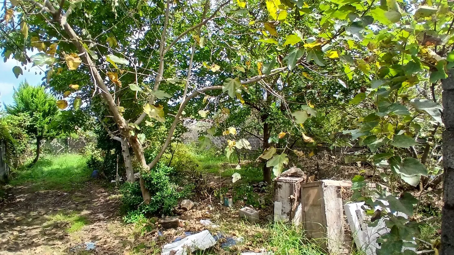 تصویر املاک 129957