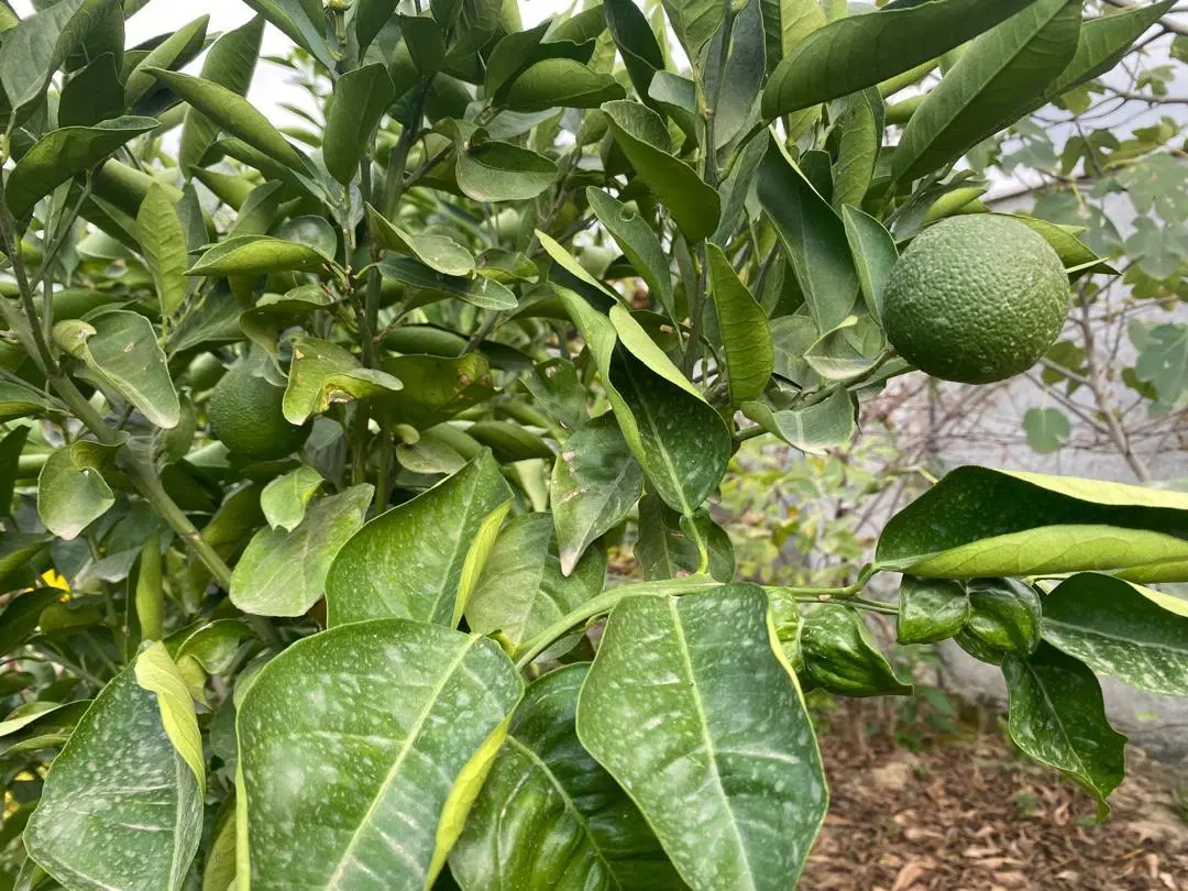 تصویر املاک 120999