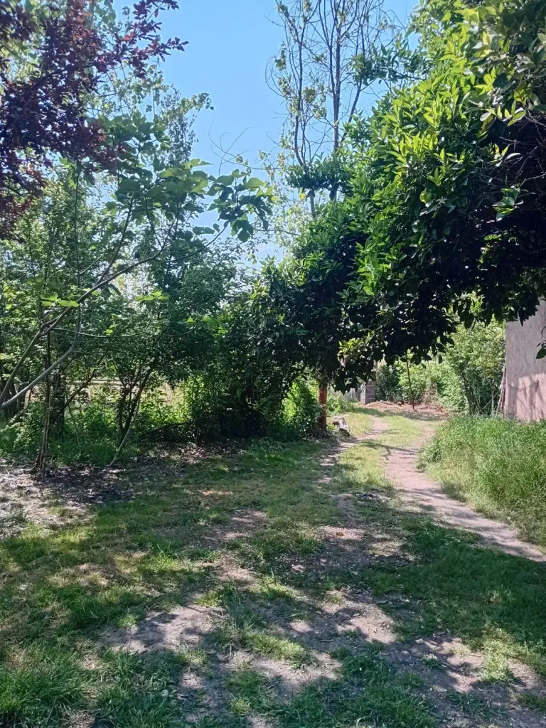 تصویر املاک 142127