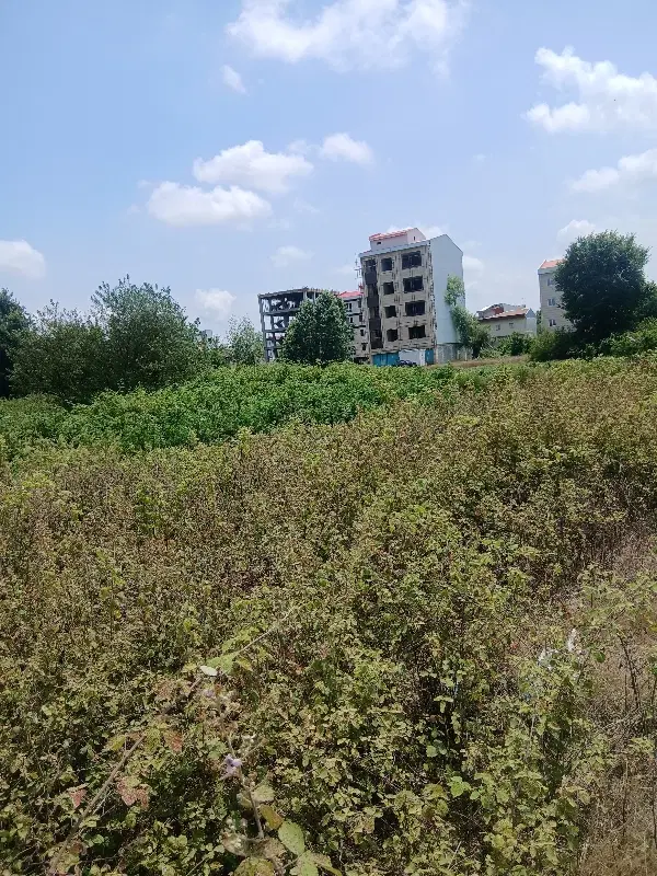 تصویر املاک 52503