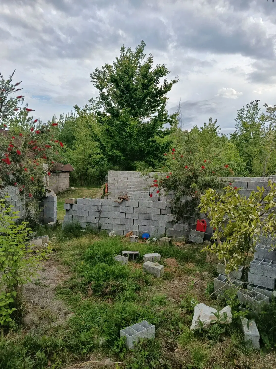 تصویر املاک 48247