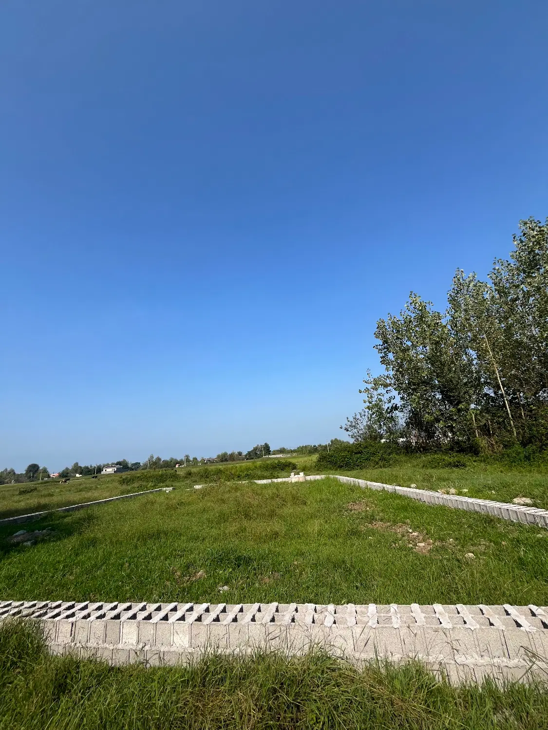 تصویر املاک 131713