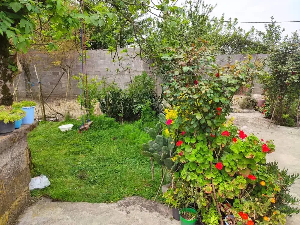 تصویر املاک 32482