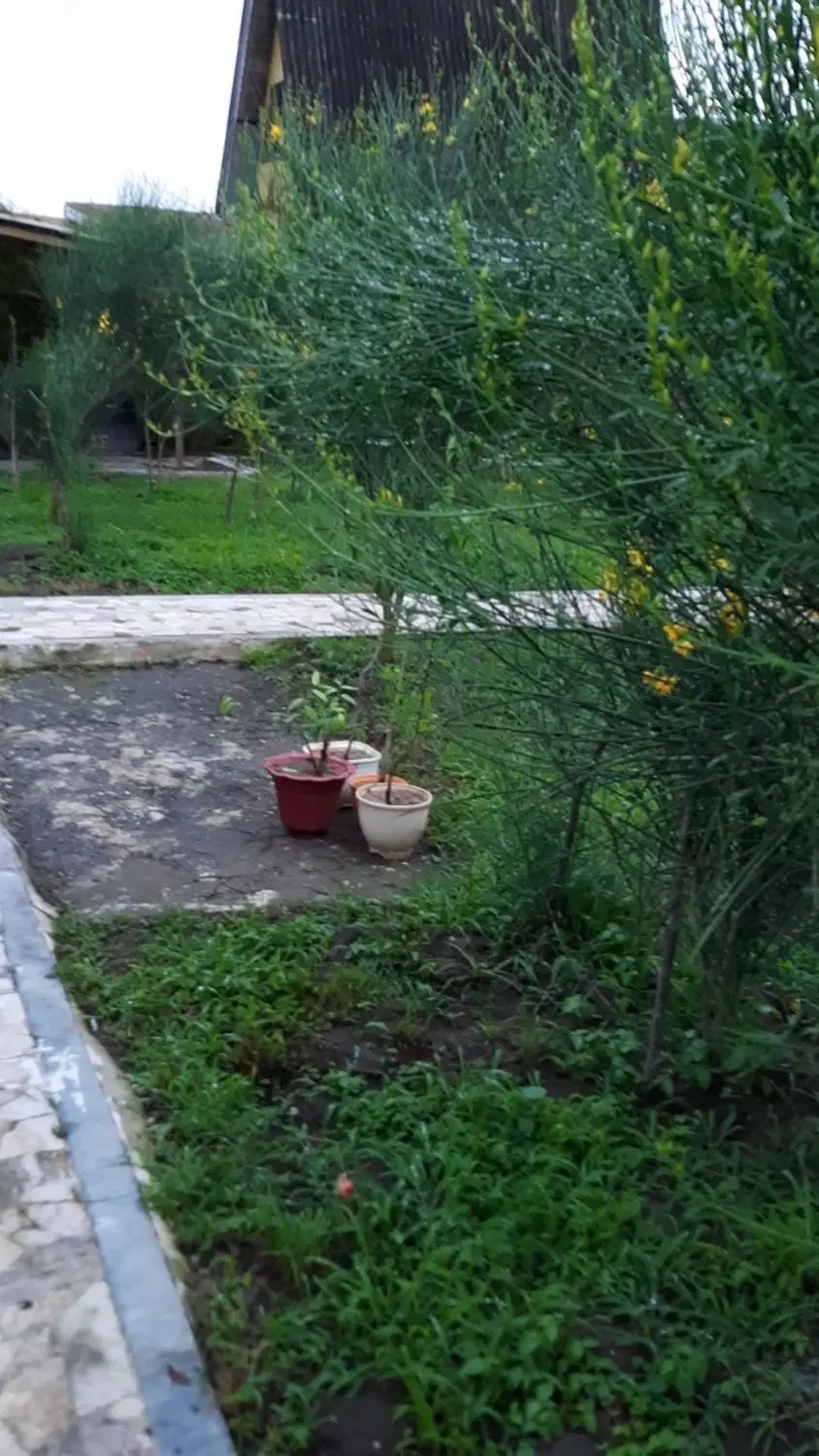 تصویر املاک 96087