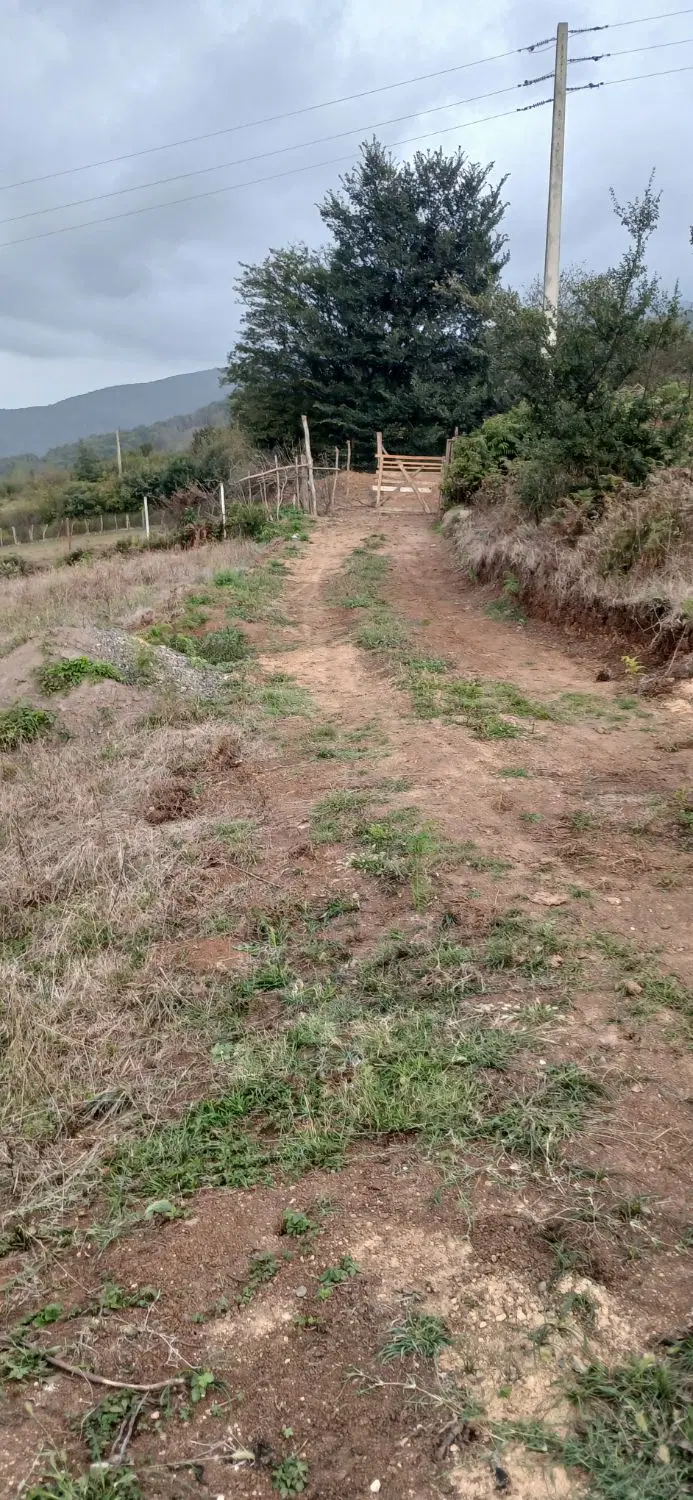تصویر املاک 118547