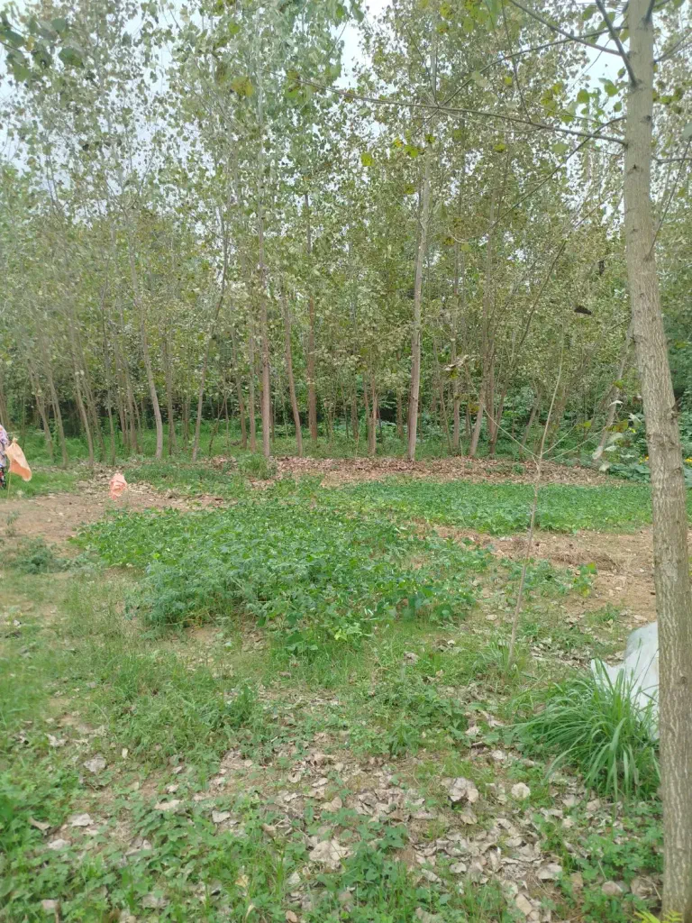 تصویر املاک 140067