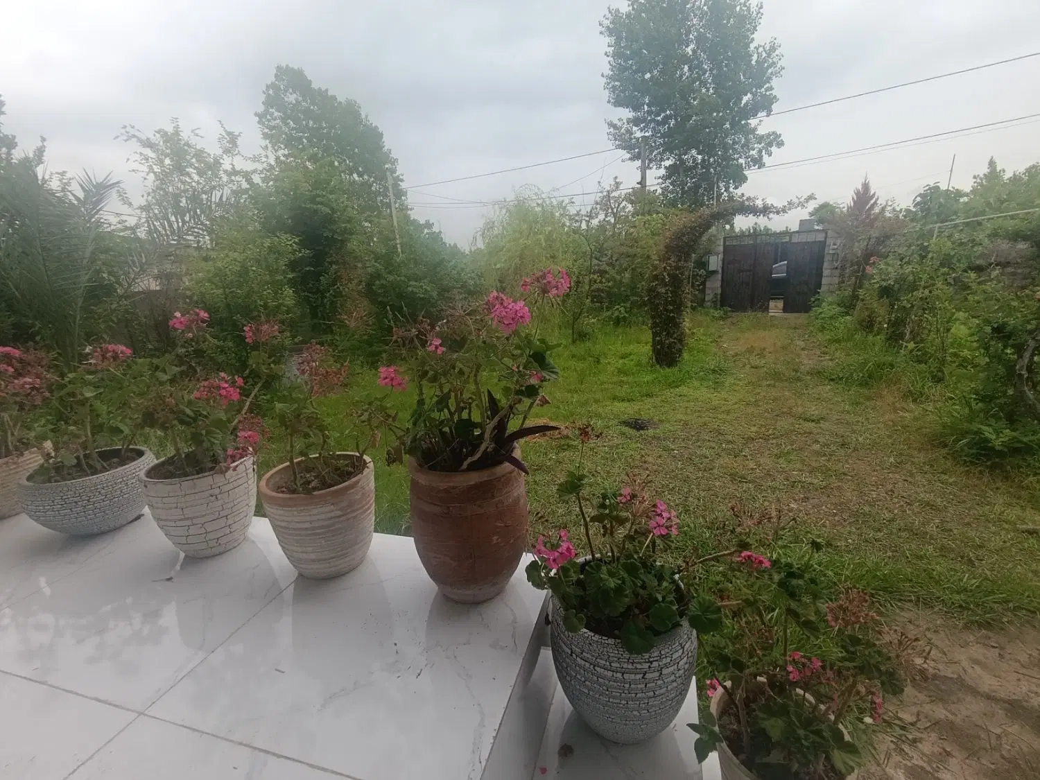 تصویر املاک 128905