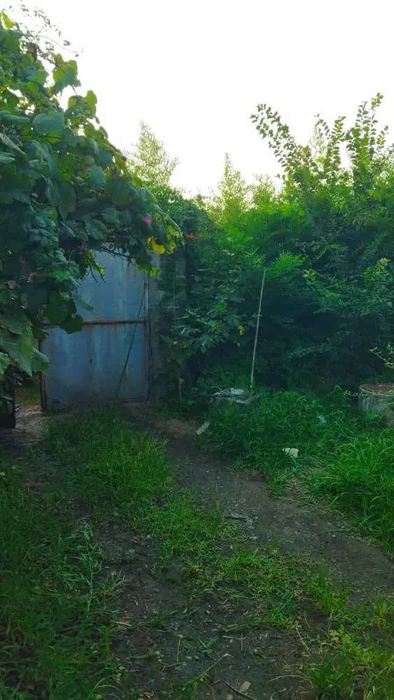 تصویر املاک 101792