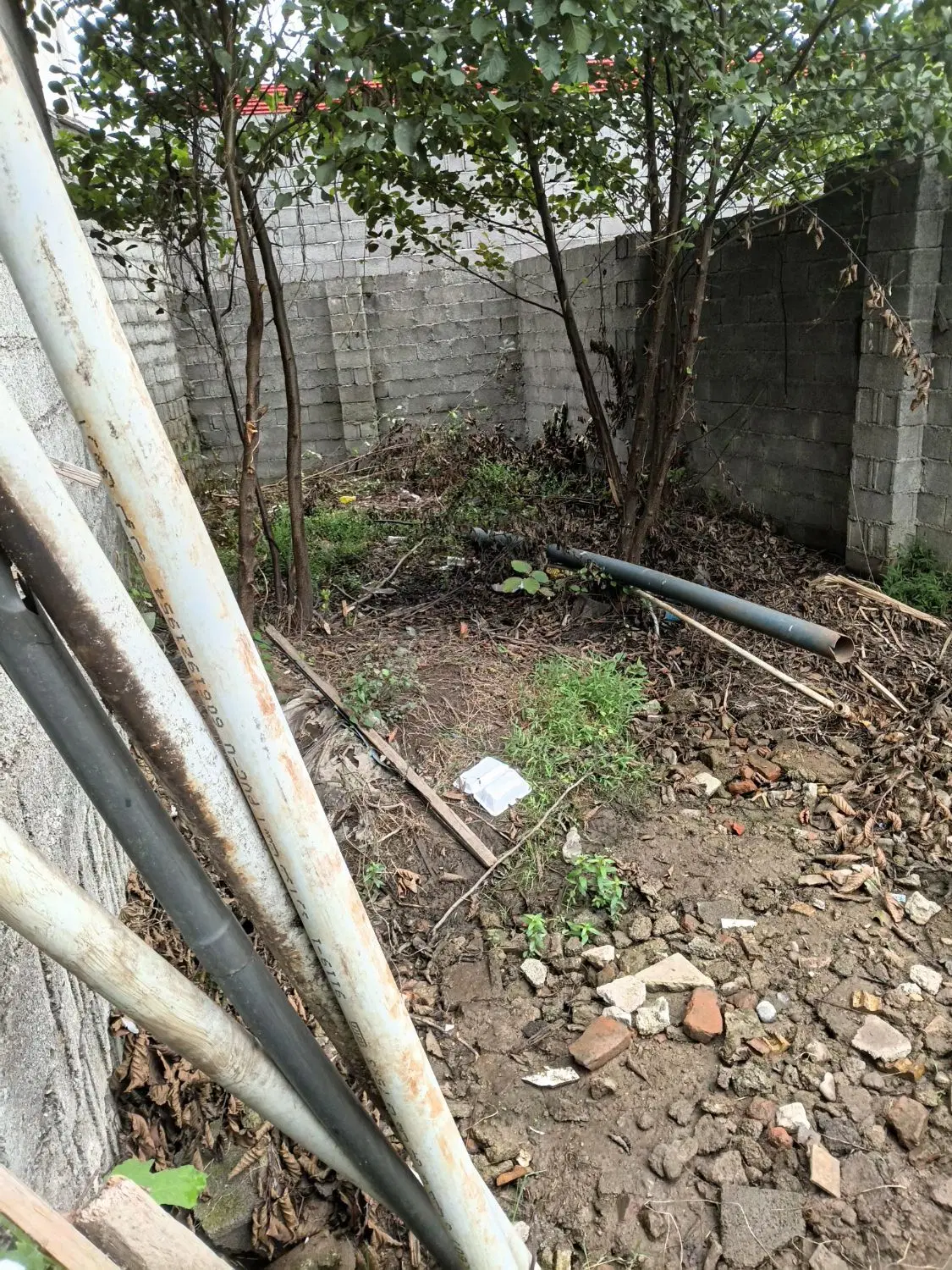 تصویر املاک 132594