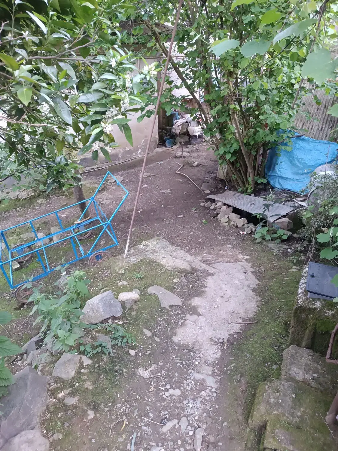 تصویر املاک 82699