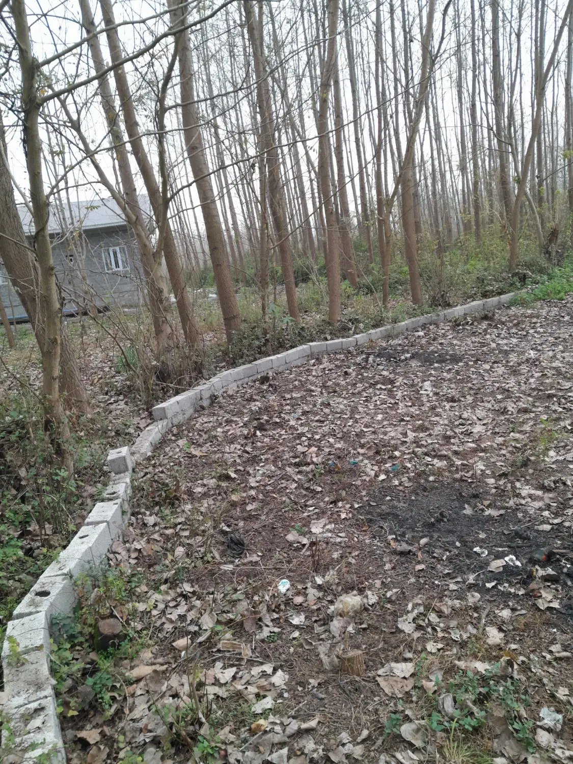 تصویر املاک 53038
