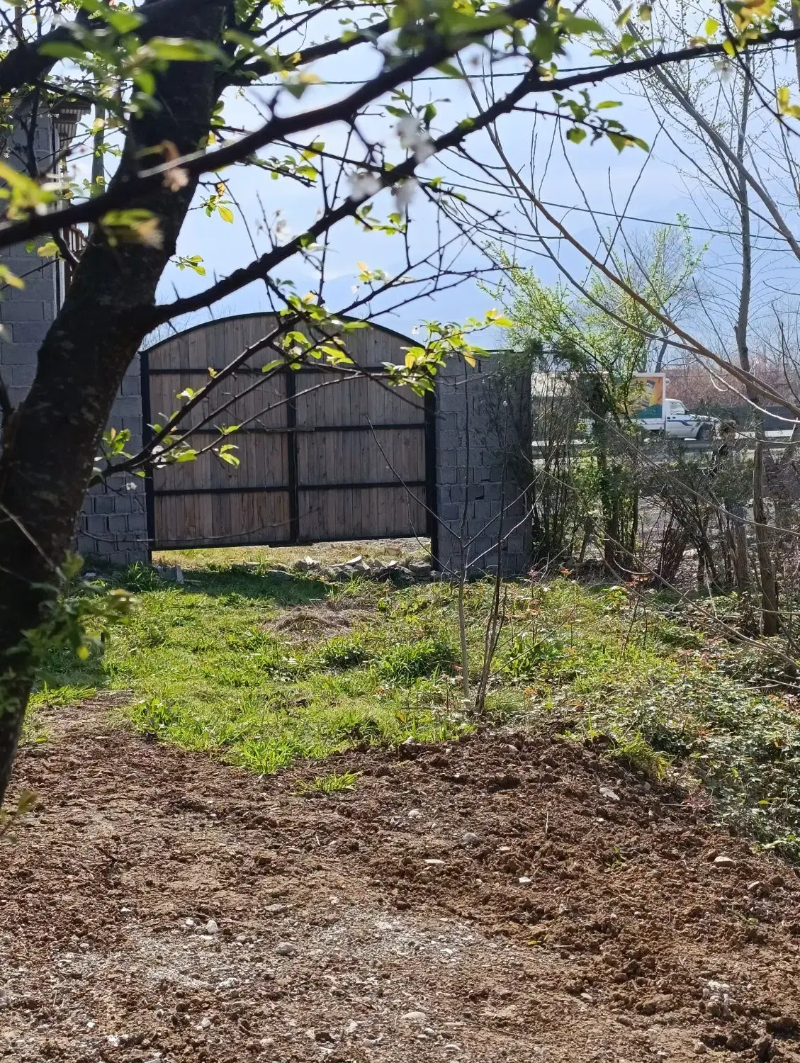 تصویر املاک 74741