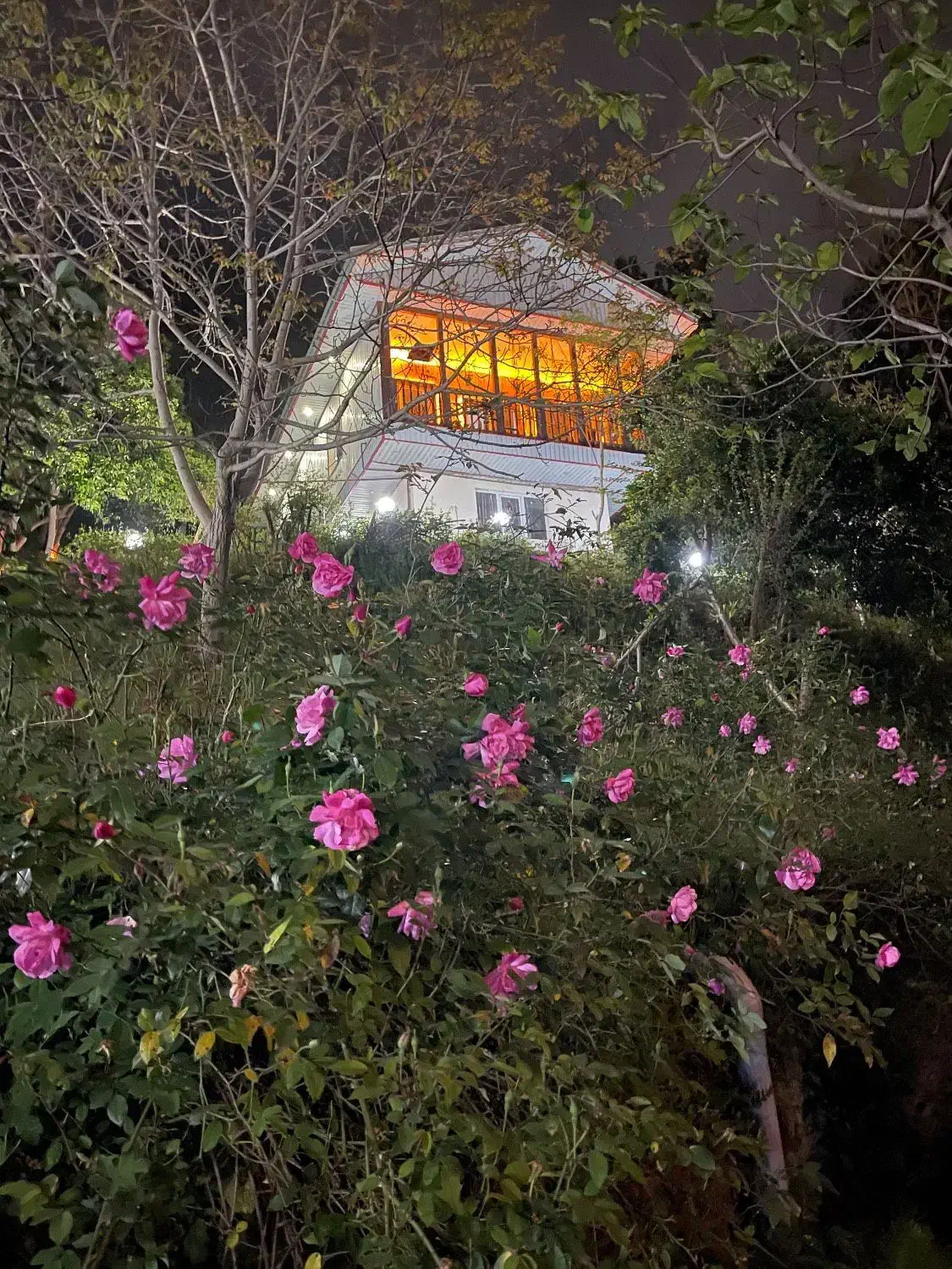 تصویر املاک 120268