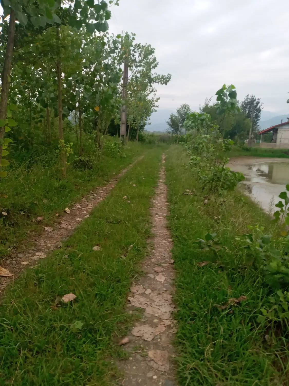 تصویر املاک 112514