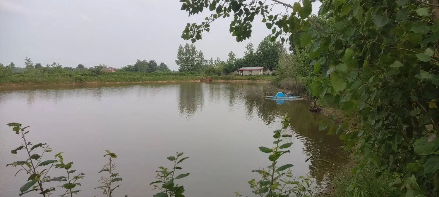 تصویر املاک 92288