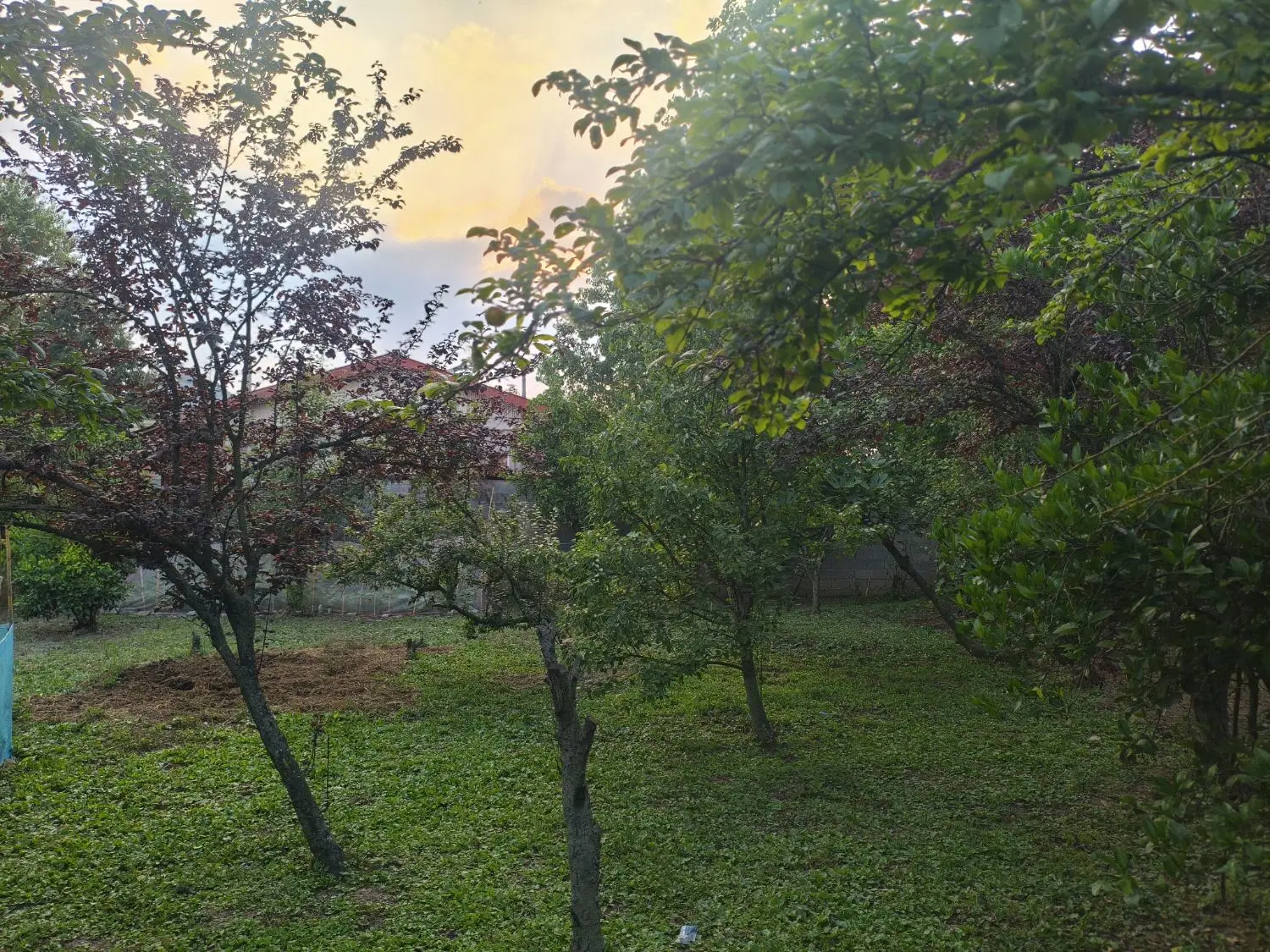 تصویر املاک 65037
