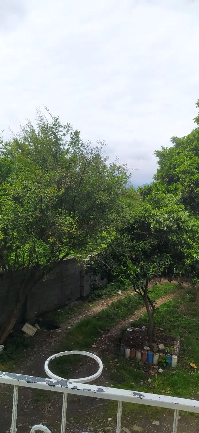 تصویر املاک 131383