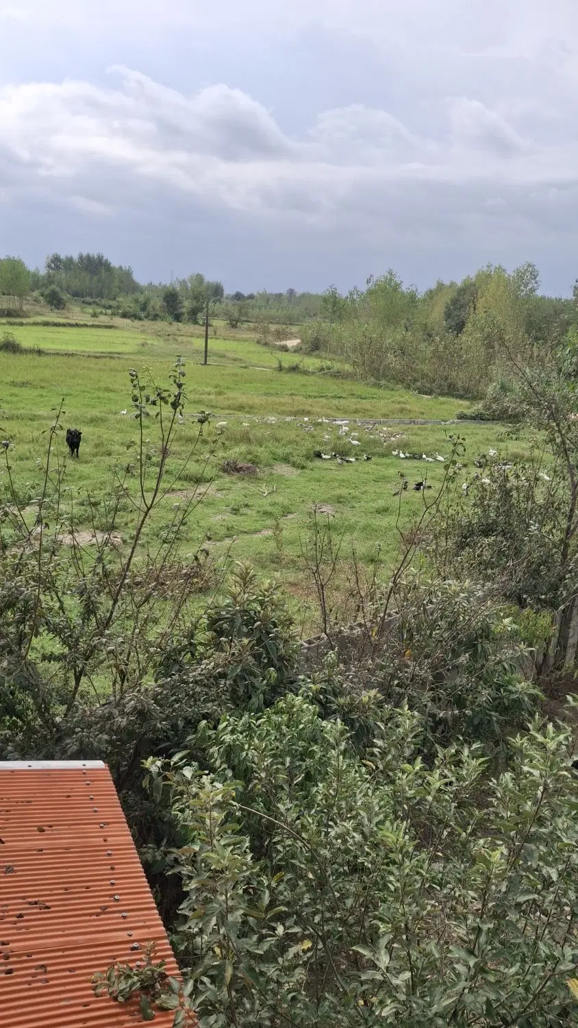 تصویر املاک 137369