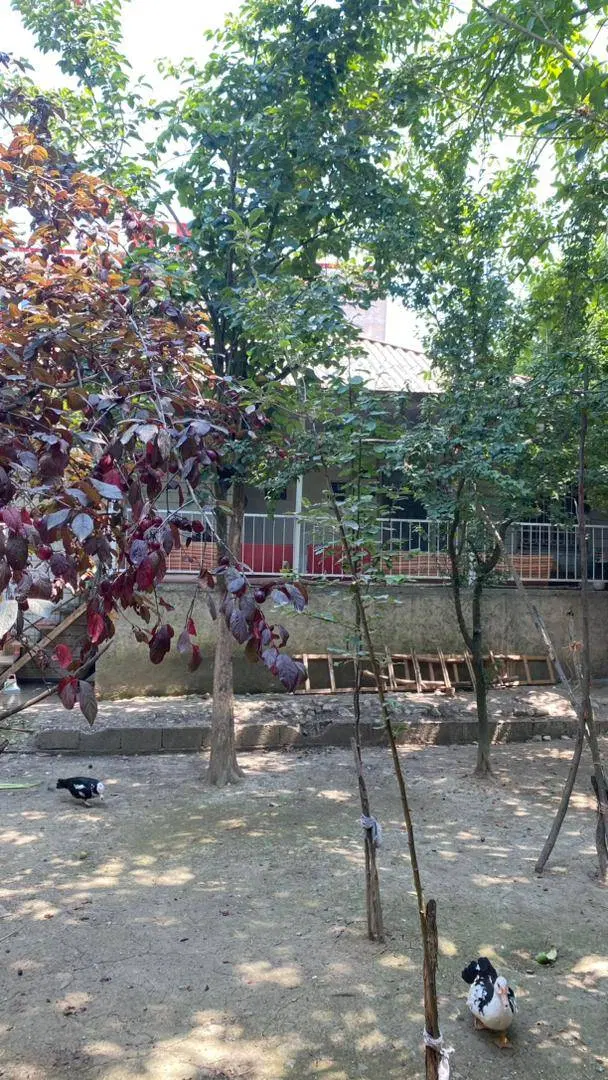 تصویر املاک 97824
