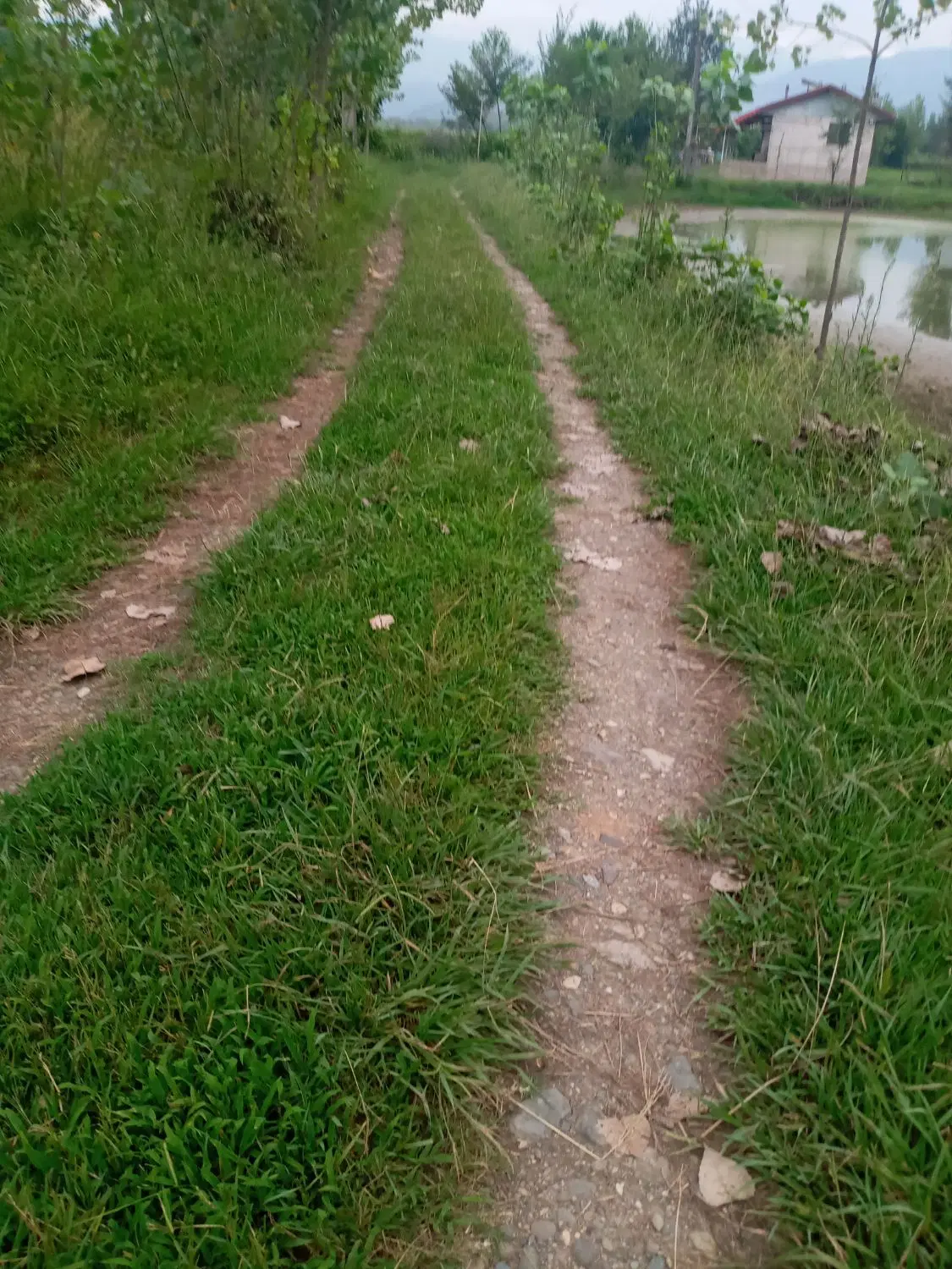 تصویر املاک 112516