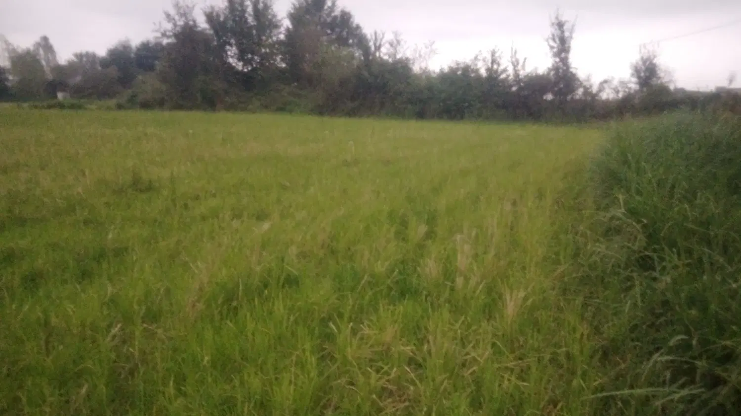 تصویر املاک 132067