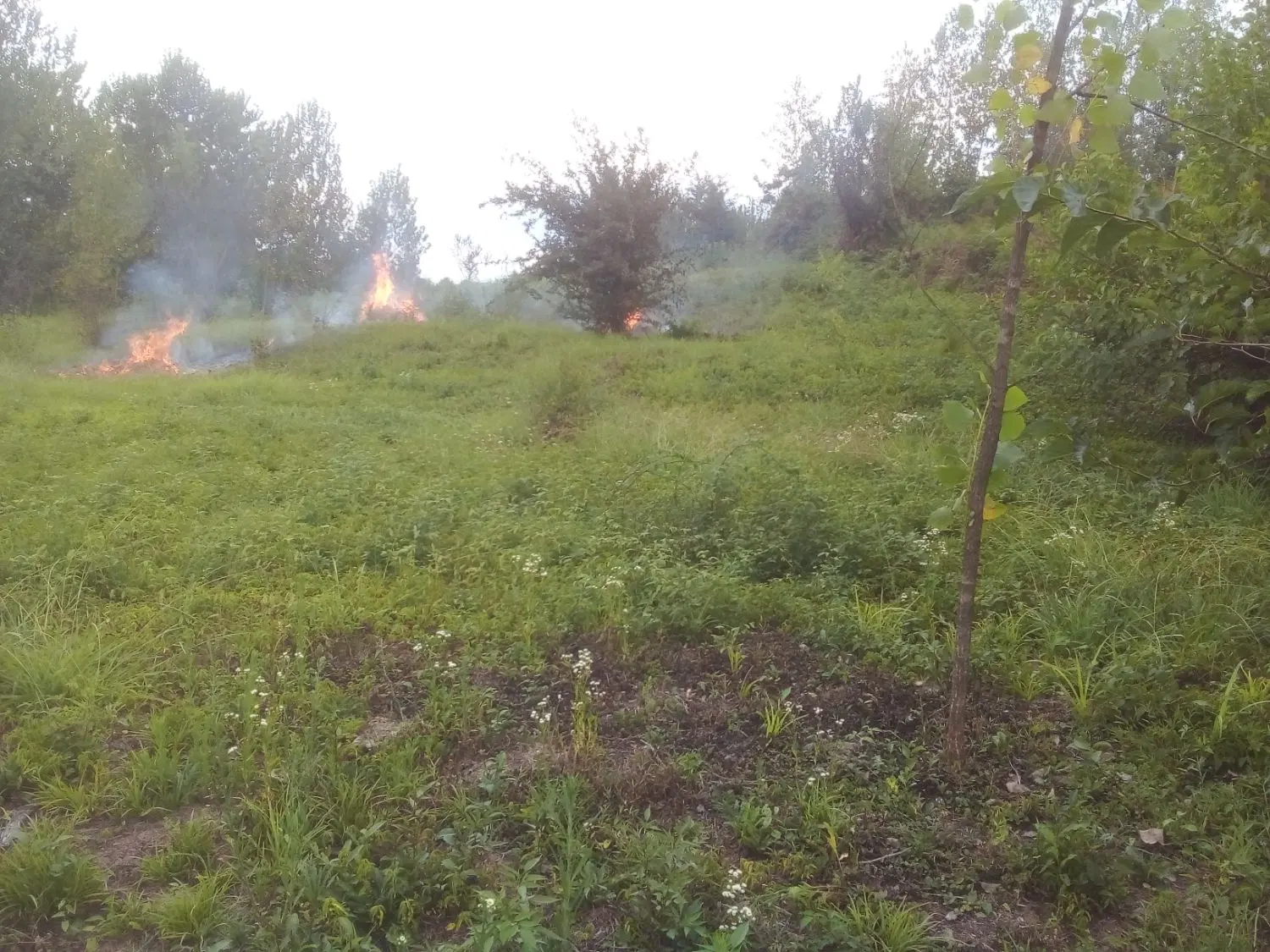 تصویر املاک 141551