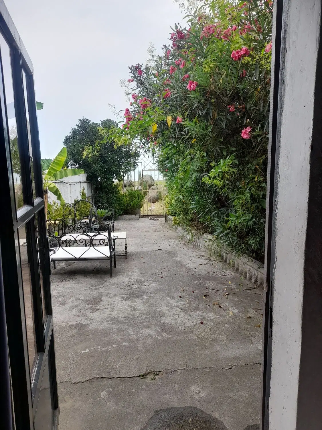 تصویر املاک 111771