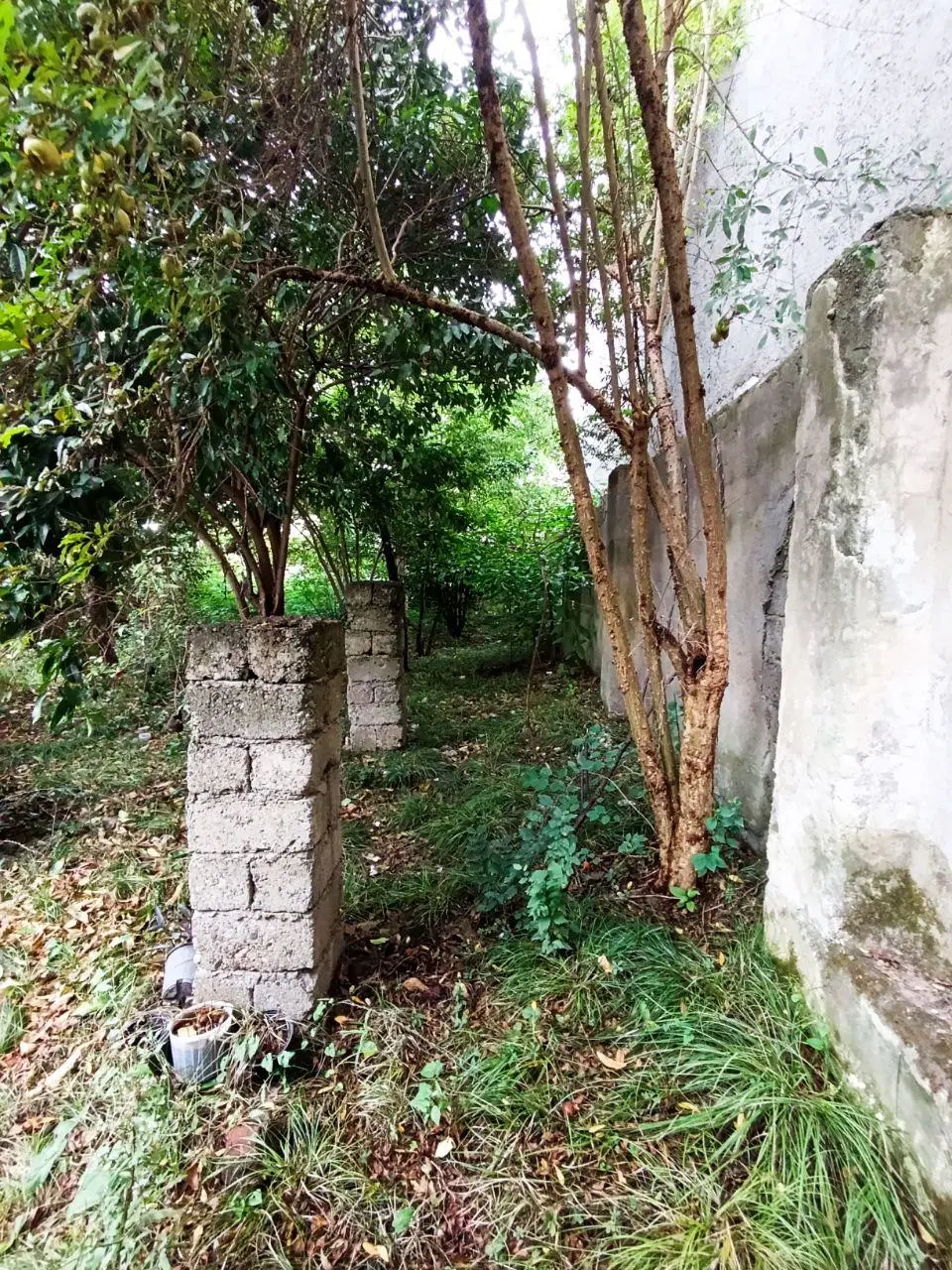 تصویر املاک 123524