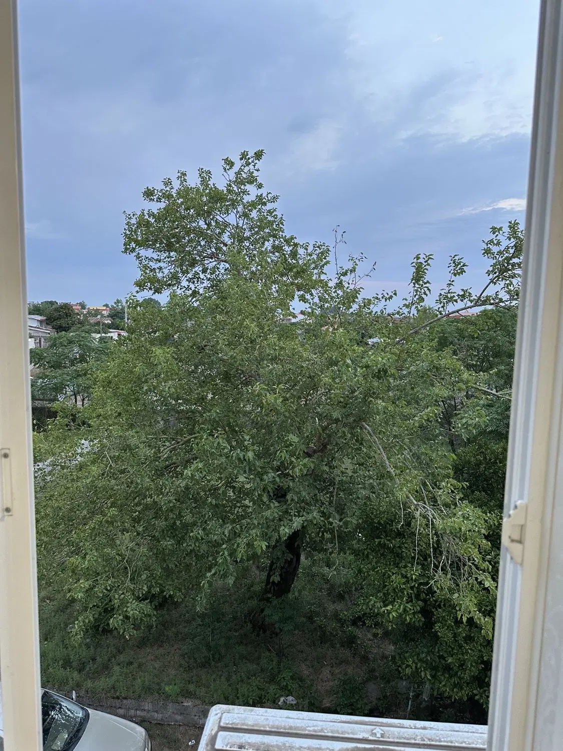 تصویر املاک 129358