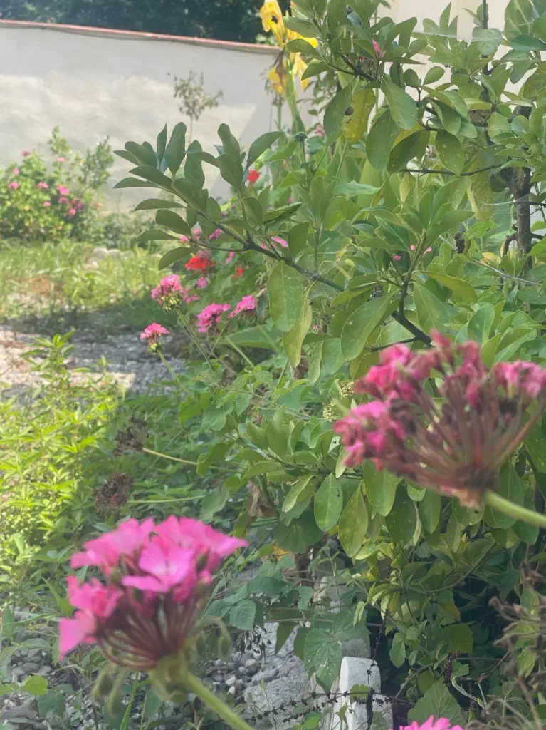 تصویر املاک 139401
