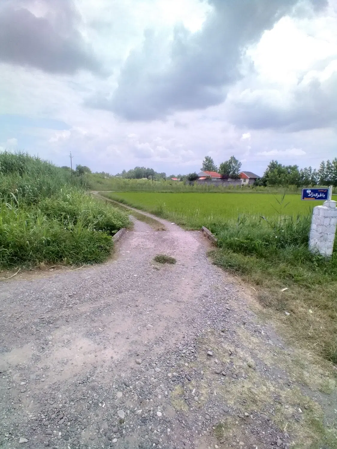 تصویر املاک 74818