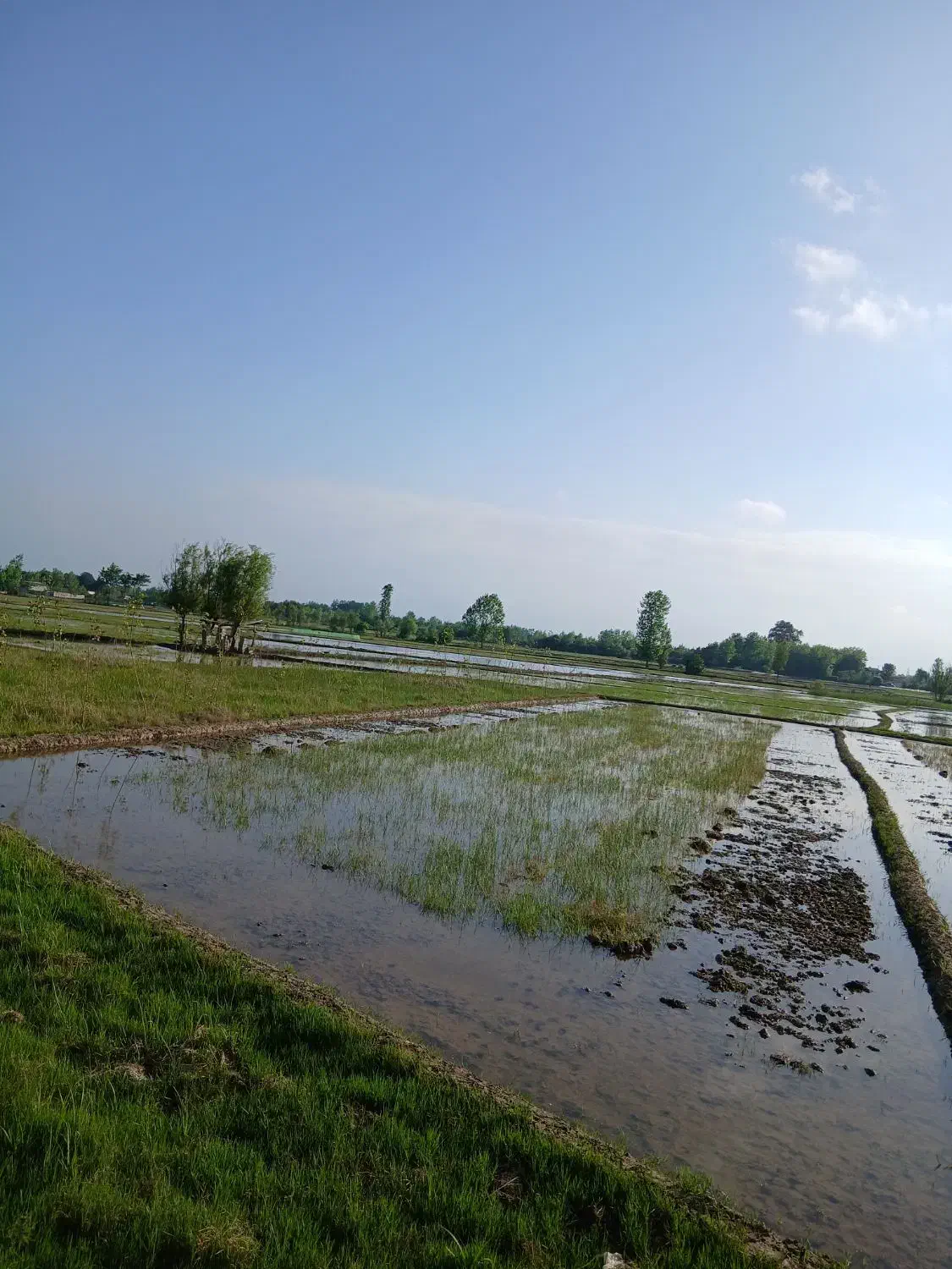 تصویر املاک 40711