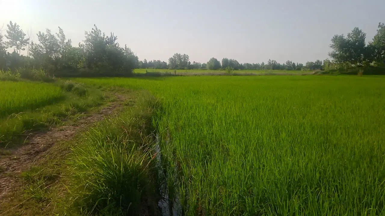 تصویر املاک 90869