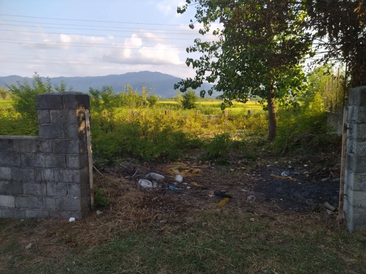 تصویر املاک 99496