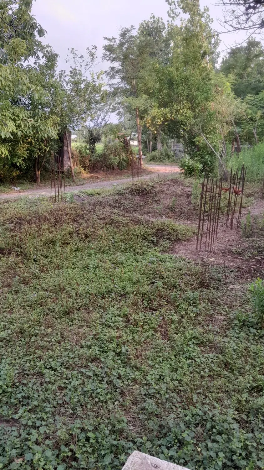 تصویر املاک 74804