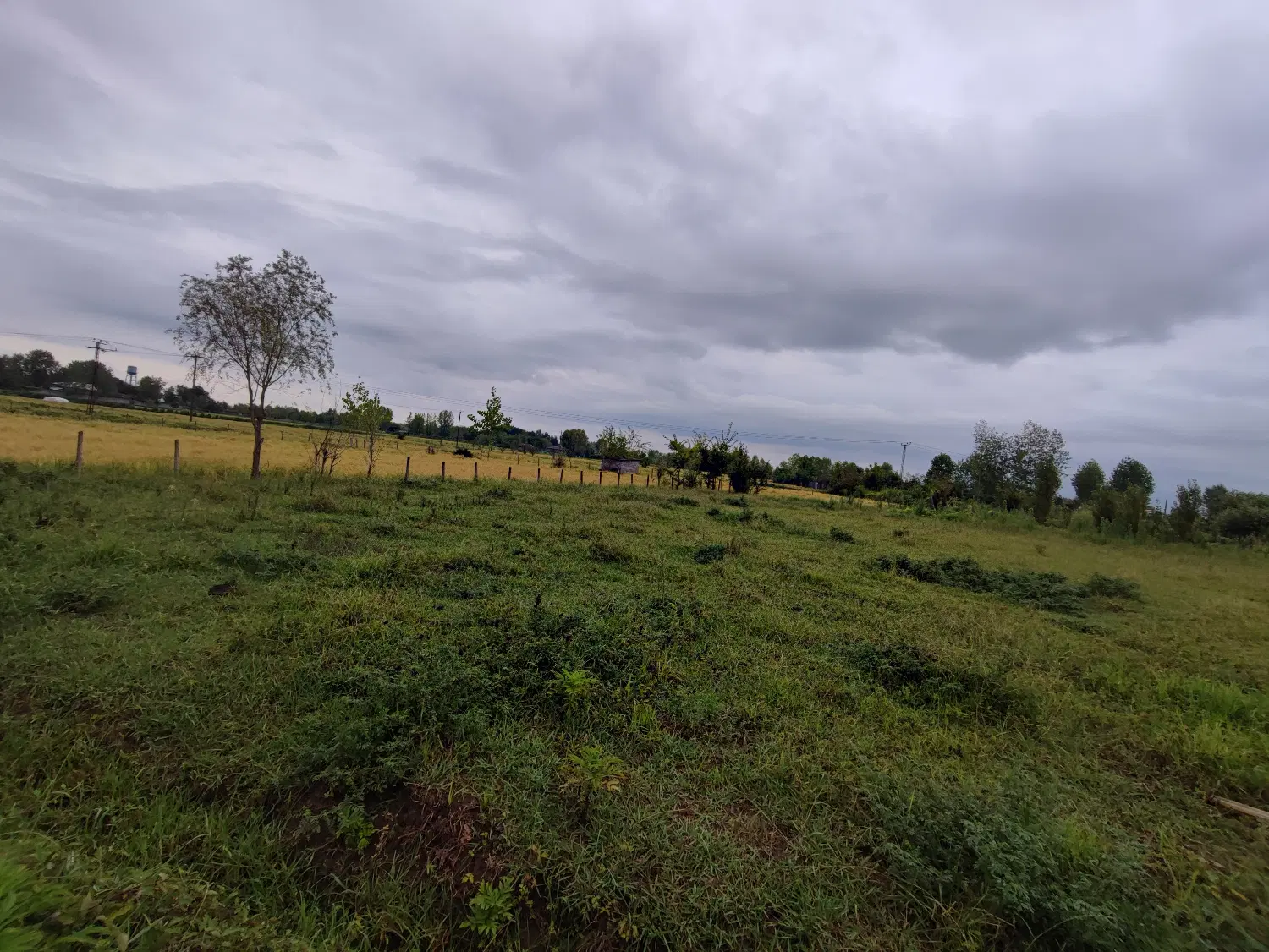 تصویر املاک 106584