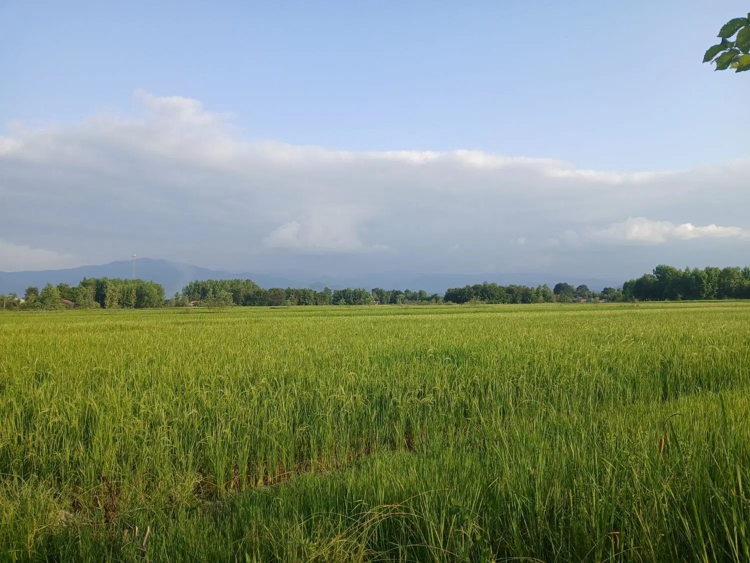 تصویر املاک 107739