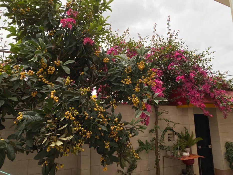 تصویر املاک 97490