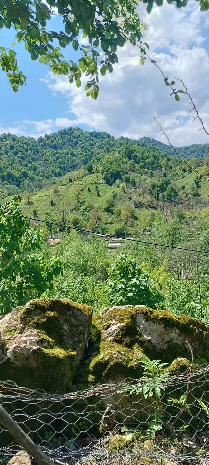 تصویر املاک 66339