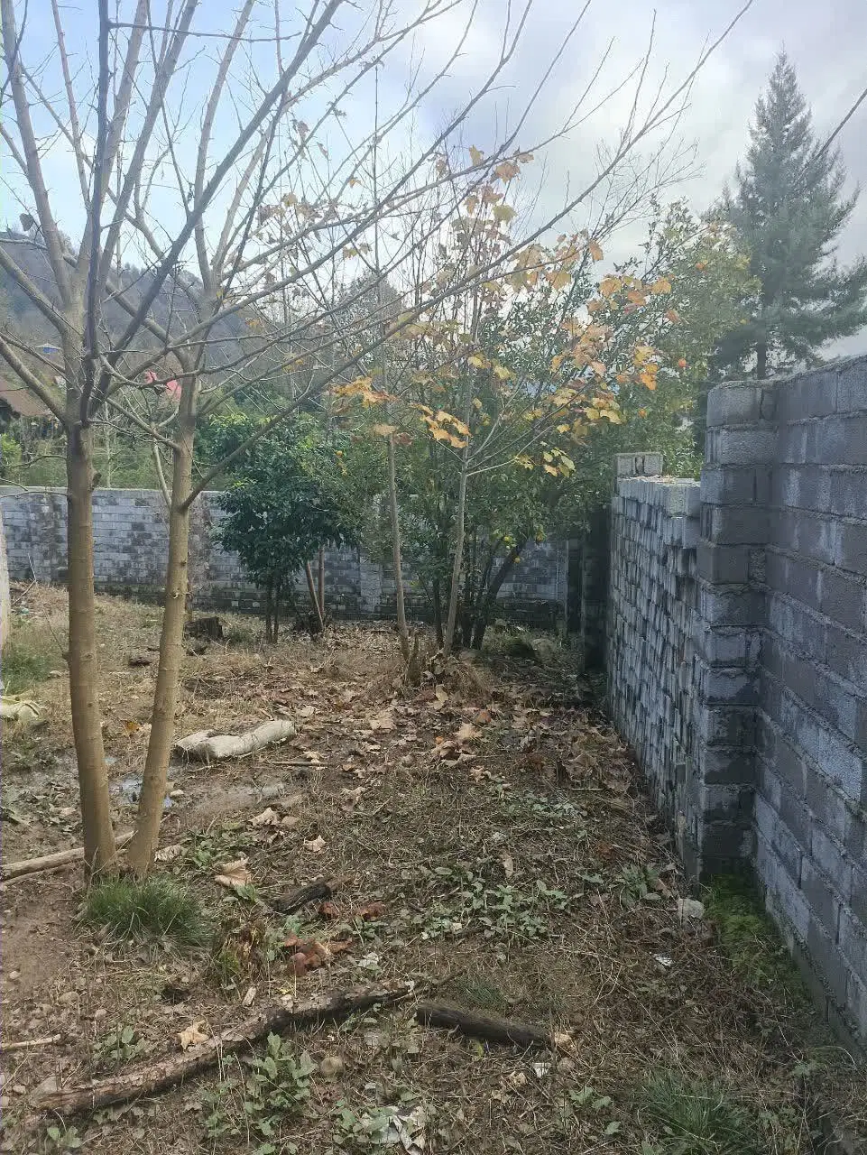 تصویر املاک 75485